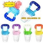 ফল চুষনি (Fruit Feeder)